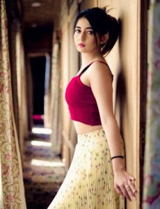 escort service in Ambala