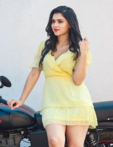 Ambala call girls
